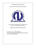 bài tập tiểu luận môn pháp luật đại cương đề tài tìm hiểu về luật lao động