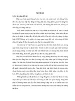 Luận Văn Đảng bộ tỉnh Phú Thọ lãnh đạo thực hiện chính sách dân tộc đối với đồng bào Mường