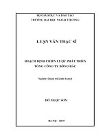 Hoạch định chiến lược phát triển tổng công ty đông bắc 