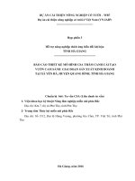 BÁO CÁO THIẾT KẾ MÔ HÌNH CSA THÂM CANH CẢI TẠO VƯỜN CAM SÀNH GIAI ĐOẠN SẢN XUẤT KINH DOANH TẠI XÃ YÊN HÀ, HUYỆN QUANG BÌNH, TỈNH HÀ GIANG