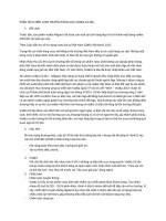 PHÂN TÍCH CHIẾN LƯỢC TRUYỀN THÔNG của VODKA CÁ SẤU