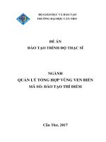 ĐỀ ÁN ĐÀO TẠO TRÌNH ĐỘ THẠC SĨ NGÀNH QUẢN LÝ TỔNG HỢP VÙNG VEN BIỂN