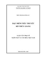 Đặc Điểm Tiểu Thuyết Hồ Thủy Giang