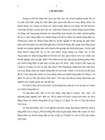 Giải pháp đẩy mạnh các hoạt động chăm sóc khách hàng điện tử Công ty Cổ phần Tư vấn và Xây lắp Sakan Việt Nam