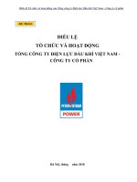 ĐIỀU LỆ TỔ CHỨC VÀ HOẠT ĐỘNG TỔNG CÔNG TY ĐIỆN LỰC DẦU KHÍ VIỆT NAM - CÔNG TY CỔ PHẦN
