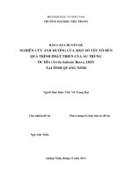 BÁO CÁO CHUYÊN ĐỀ NGHIÊN CỨU ẢNH HƯỞNG CỦA MỘT SỐ YẾU TỐ ĐẾN QUÁ TRÌNH PHÁT TRIỂN CỦA ẤU TRÙNG ỐC ĐĨA (Nerita balteata Reeve, 1855) TẠI TỈNH QUẢNG NINH Người thực hiện: ThS Vũ Trọng Đại
