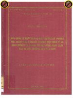 Mối quan hệ giữa bảo vệ môi trường và thương mại trong các liên kết thương mại quốc tế và ảnh hưởng của chúng tới hệ thống pháp luật bảo vệ môi trường của việt nam  