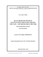 Quản Trị Rủi Ro Tín Dụng Tại Ngân Hàng TMCP Công Thương Việt Nam - Chi Nhánh Thị Xã Phú Thọ