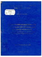 Đổi mới tổ chức và hoạt động của ủy ban nhân dân cấp thành phố trực thuộc trung ương  
