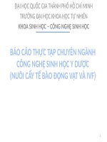 báo cáo thực tập chuyên ngành công nghệ sinh học y dược (nuôi cấy tế bào động vật và ivf) 