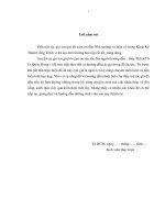 thiết kế cảnh quan công viên trung tâm phường an phú đông – quận 12, tp  hồ chí minh 