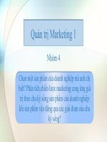 Chọn một sản phẩm của doanh nghiệp mà anh chị biết phân tích chiến lược marketing cung ứng giá trị theo chu kỳ sống sản phẩm của doanh nghiệp khi sản phẩm vận động qua các giai đoạn của chu kỳ sống 