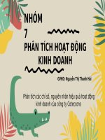 Phân tích các chỉ số, nguyên nhân hiệu quả hoạt động kinh doanh của công ty coteccons 