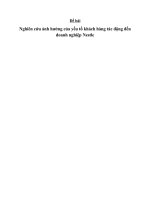 Nghiên cứu ảnh hưởng của yếu tố khách hàng tác động đến doanh nghiệp nestle 