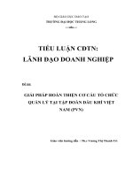 giải pháp hoàn thiện cơ cấu tổ chức quản lý tại tập đoàn dầu khí việt nam (pvn) 