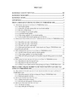 kế toán nguyên vật liệu tại công ty tnhh bình anh 