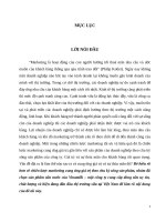 phân tích chiến lược marketing cung ứng giá trị theo chu kỳ sống sản phẩm sữa nước của vinamilk 