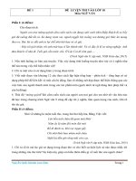 10 đề ôn thi vào lớp 10 THPT môn ngữ văn 