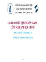 báo cáo thực tập chuyên ngành công nghệ sinh học y dược 