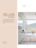 hãy phân tích mối liên hệ giữa vật chất , chất liệu và xu hướng , phong cách thiết kế nội thất 