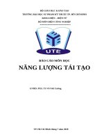 báo cáo môn học năng lượng tái tạo 