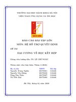 Bài tập lớn DSS   đại cương về học kết hợp 