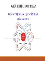 quản trị nhân lực căn bản 