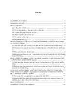 Phân tích tài chính doanh nghiệp tại công ty cổ phần bảo tồn và phát triển du lịch bát tràng 