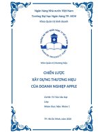 chiến lược xây dựng thương hiệu của doanh nghiệp apple 