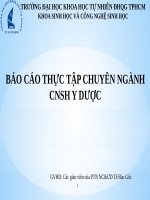 báo cáo thực tập chuyên ngành công nghệ sinh học y dược 