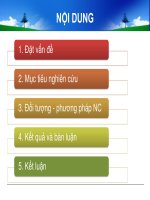 thực trạng tuân thủ quy trình đặt catheter mạch máu ngoại biên của điều dưỡng và yếu tố ảnh hưởng tại bệnh viện nhi đồng 1 