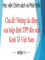 Những tác động của hiệp định TPP đến nền kinh tế việt nam 