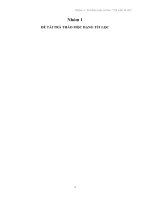 đề tài trà thảo mộc dạng túi lọc 