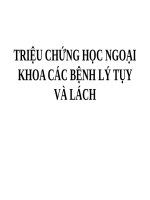 TRIỆU CHỨNG học NGOẠI KHOA các BỆNH lý tụy và LÁCH 