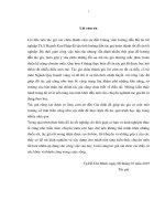 quy hoạch chi tiết tỷ lệ 1500 khu dân cư ven sông cần giuộc thuộc thị trấn cần giuộc, tỉnh long an 