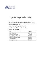 PHÂN TÍCH  mô HÌNH SWOT  của NGÂN HÀNG ACB 
