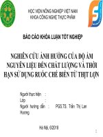 NGHIÊN cứu ẢNH HƯỞNG của độ ẩm NGUYÊN LIỆU đến CHẤT LƯỢNG và THỜI hạn sử DỤNG RUỐC CHẾ BIẾN từ THỊT lợn 