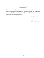 Luận văn Thạc sĩ Quản lý kinh tế: Phát triển kinh tế nông nghiệp bền vững tại thị xã Phổ Yên, tỉnh Thái Nguyên