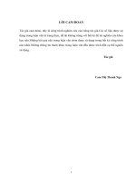 Luận văn Thạc sĩ Quản lý kinh tế: Nâng cao chất lượng đội ngũ cán bộ công đoàn khối các cơ quan hành chính, sự nghiệp tại tỉnh Thái Nguyên