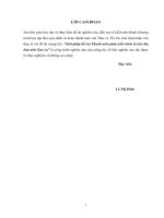 Luận văn Thạc sĩ Quản lý kinh tế: Giải pháp hỗ trợ Thanh niên phát triển kinh tế trên địa bàn tỉnh Sơn La