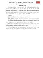 Bài tập học kỳ Luật Hình sự