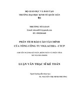 Luận văn thạc sỹ - Phân tích báo cáo tài chính của Tổng Công ty Viglacera - CTCP