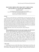 Hai tượng trong chùa nhạn sơn và động thái tín ngưỡng của người việt ở bình định 