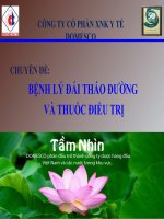 CHUYÊN ĐỀ BỆNH LÝ ĐÁI THÁO ĐƯỜNG VÀ THUỐC ĐIỀU TRỊ
