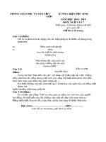 Tổng hợp 54 đề thi học sinh giỏi cấp huyện môn Ngữ Văn 7