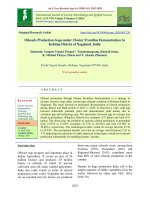 Oilseeds production gaps under cluster frontline demonstration in Kohima district of Nagaland, India