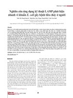 Nghiên cứu ứng dụng kỹ thuật LAMP phát hiện nhanh vi khuẩn E. coli gây bệnh tiêu chảy ở người