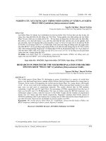 Nghiên cứu xây dựng quy trình nhân giống in vitro lan Kiếm Phan Trí (Cymbidium finlaysonianum Lindl.)