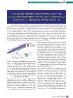 Thí nghiệm trên hạt nhân giàu nơtron 92,94 Se: Mở đầu cho các nghiên cứu trạng thái đồng phân của hạt nhân biến dạng trong vùng Z ~ 72