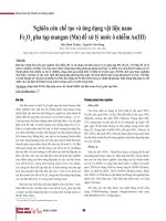 Nghiên cứu chế tạo và ứng dụng vật liệu nano Fe3 O4 pha tạp mangan (Mn) để xử lý nước ô nhiễm As(III)